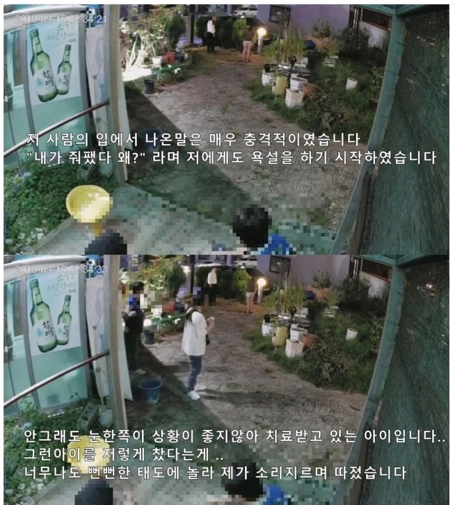 보배드림 강아지 폭행사건.jpg | 인스티즈