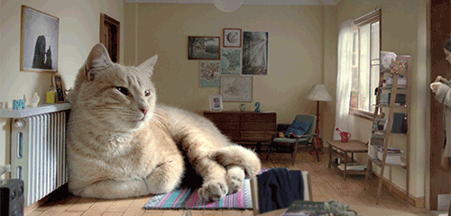 동물들이 거대해진다면.... | 인스티즈