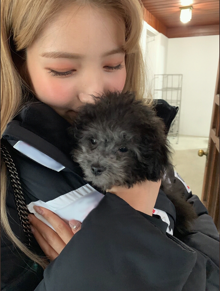 여자친구 일본 공식 트위터 쇠💖먼지 | 인스티즈