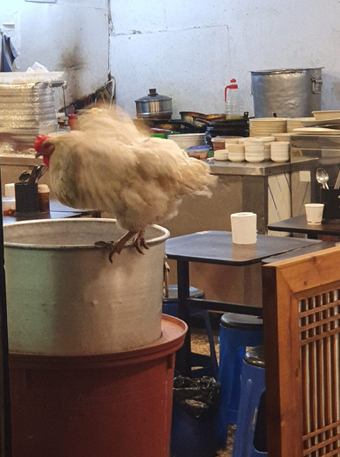 특이점이 온 닭한마리집.jpg | 인스티즈