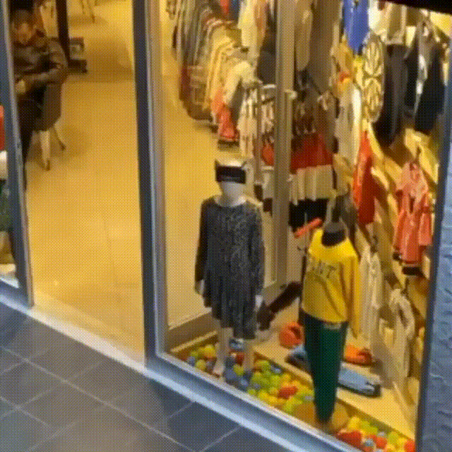 상점에 들이닥친 길냥이.gif | 인스티즈