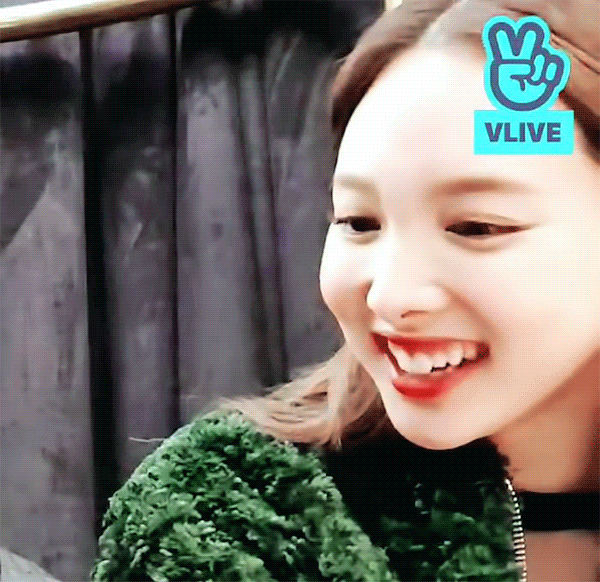 집 나간 토끼 🐰 찾습니다 | 인스티즈