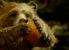 ???: 명의는 김혜경 것이지만 실제 작성자는 아니다!! | 인스티즈