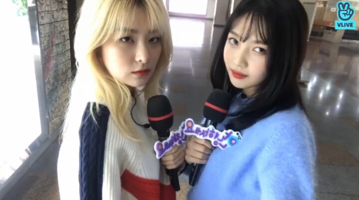 맑음이(레드벨벳 조이)와 햇님이 | 인스티즈