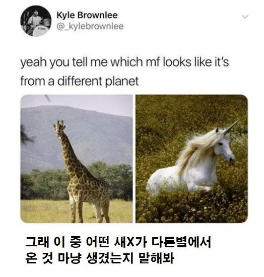유니콘 이미지