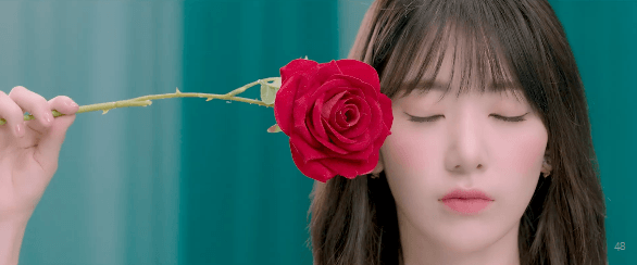 [아이즈원] 장미꽃 사쿠라.gif | 인스티즈