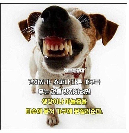 여러가지 꿀팁.jpg | 인스티즈