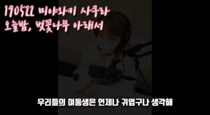 아이즈원) 사쿠라의 멤버 주접 1탄 (막내토끼 장원영) | 인스티즈