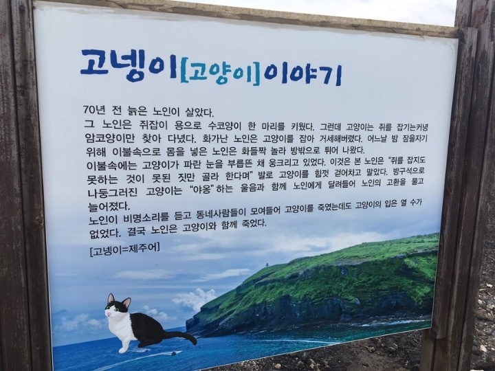 [공포] 고양이 이야기 | 인스티즈