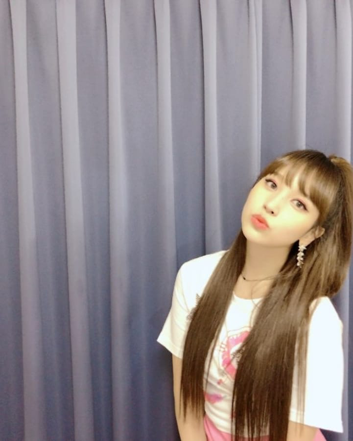 노란병아리 이미지
