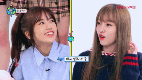 그 예나도 두려워한다는 (아이즈원) | 인스티즈