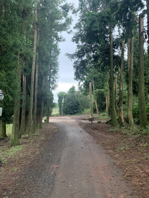 제주 여행 첫째날 | 인스티즈