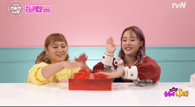 헤이지니를 당황하게 만드는 나래코기ㅋㅋㅋㅋ | 인스티즈