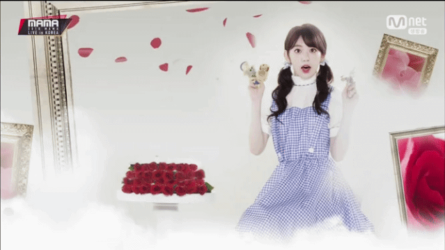 2019년 첫 미야와키 사쿠라 | 인스티즈