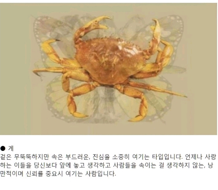 먼저 보이는 그림으로 하는 성격테스트.jpg | 인스티즈