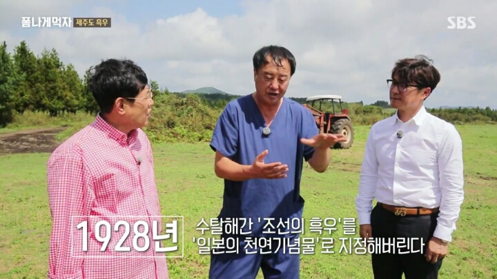 일본이 수탈해간 우리의 흑우.jpg | 인스티즈