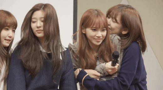 엉기는 대형견을 부담스러워 하는 쌈무 움짤 (아이즈원) | 인스티즈