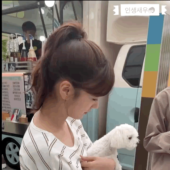 강아지가 더 귀엽다고 해서 놀라는 에이핑크 보미.gif | 인스티즈