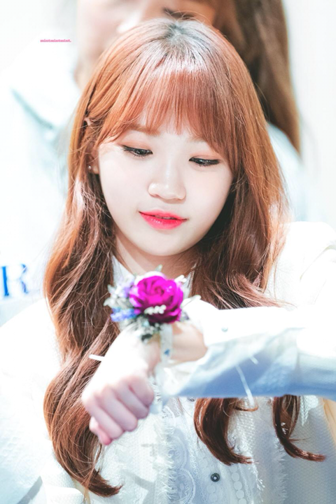 아이즈원) 시바쌈무 고화질 | 인스티즈