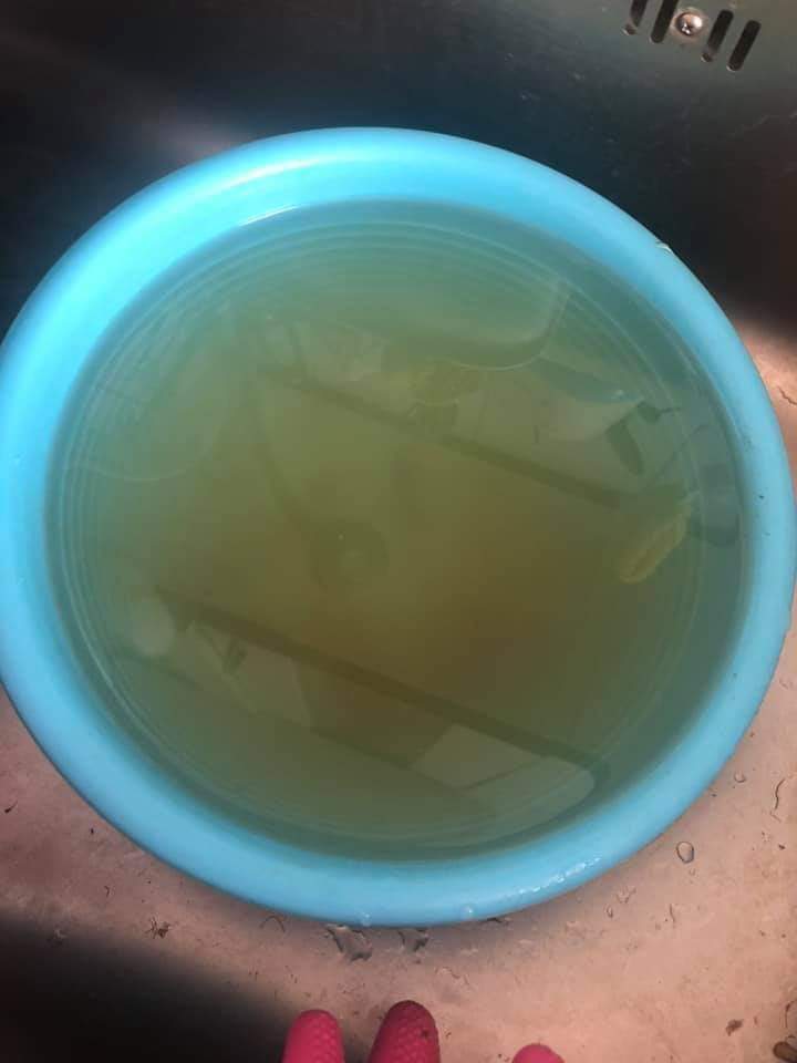 강아지를 죽인 교사 | 인스티즈