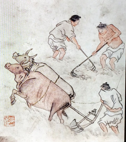 송하 이미지