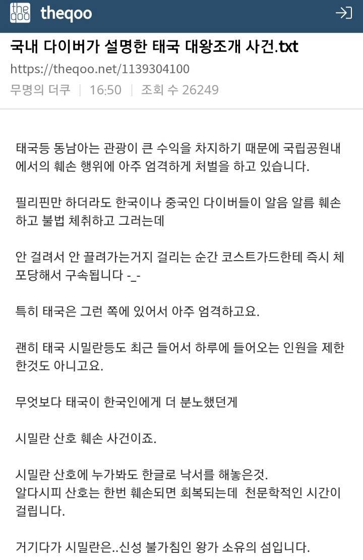 현직 다이버가 설명하는 태국 대왕조개 사건.jpg | 인스티즈