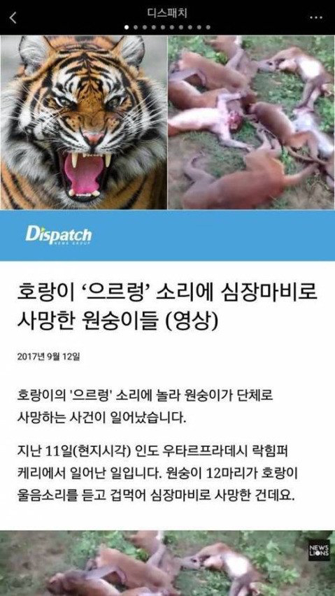파티원 이미지