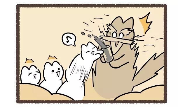 고양이의 털색이 정해지는 방법 | 인스티즈