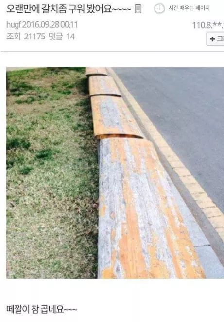 피식하는 허언증 모음 | 인스티즈