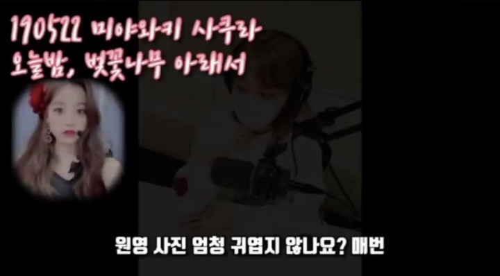 아이즈원) 사쿠라의 멤버 주접 1탄 (막내토끼 장원영) | 인스티즈