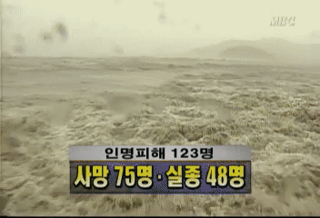 2002년 태풍 루사 위력 | 인스티즈