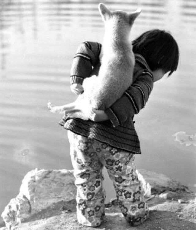 1970년대...한국의 댕댕이들....jpg | 인스티즈