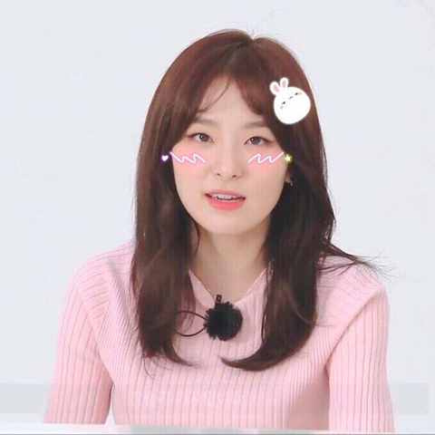 레드벨벳 슬기❤️ | 인스티즈