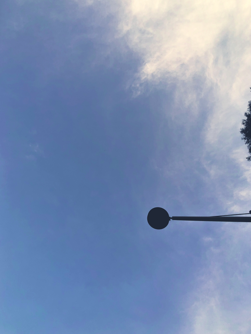 아이폰으로 찍은 C급 사진 몇 장만 올려봅니다 | 인스티즈