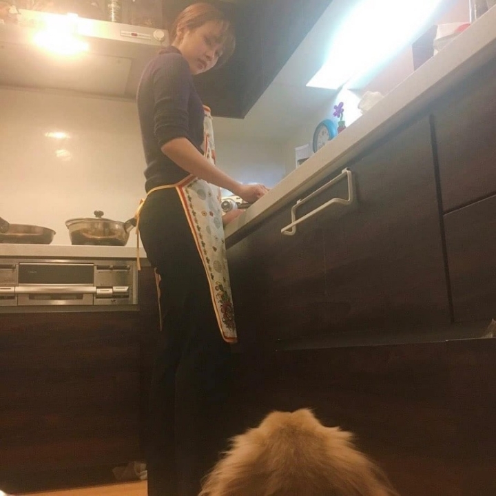 미나가 해주는 음식만 평생 먹기(리액션 좋으면 결혼확률 60%)vs고든 램지가 해주는 음식 평생 먹기(부스러기도 남기면 쌍욕 처먹음) | 인스티즈