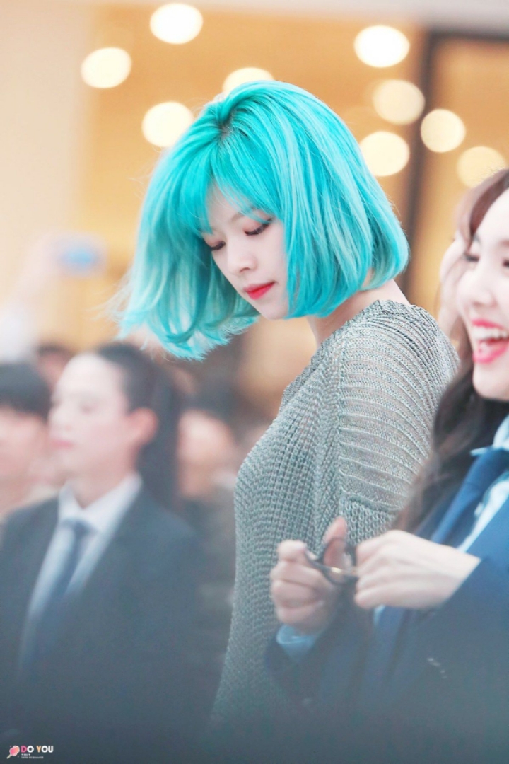 트와이스 팬들 사이에서도 난제라는 민트정연 vs 벚꽃정연 | 인스티즈