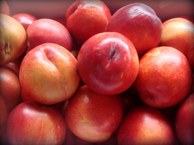 세상에서 가장 뜨거운 과일은? | 인스티즈