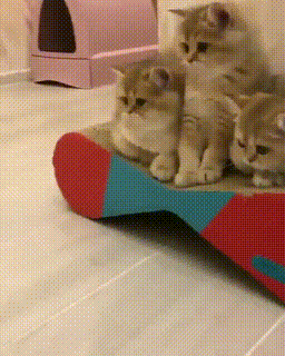 경계는 니들이 해줘.gif | 인스티즈