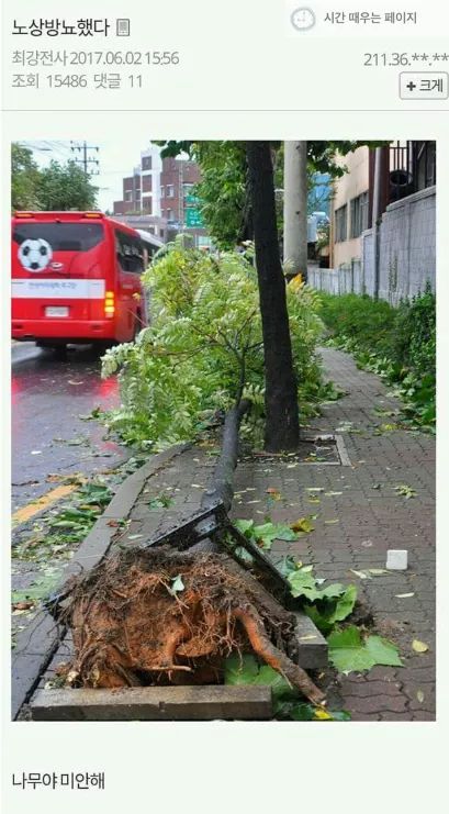 피식하는 허언증 모음 | 인스티즈