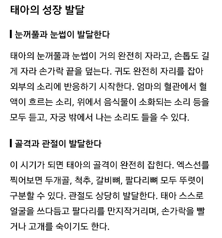 태아의 골격이 완전히 잡히는 임신 22주 | 인스티즈