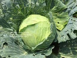 의외로 다이어트 때 절대 피해야 하는 음식 | 인스티즈