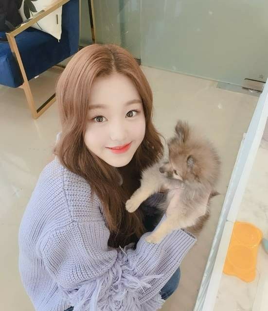 장원영 갈색머리 모음 .jpg | 인스티즈