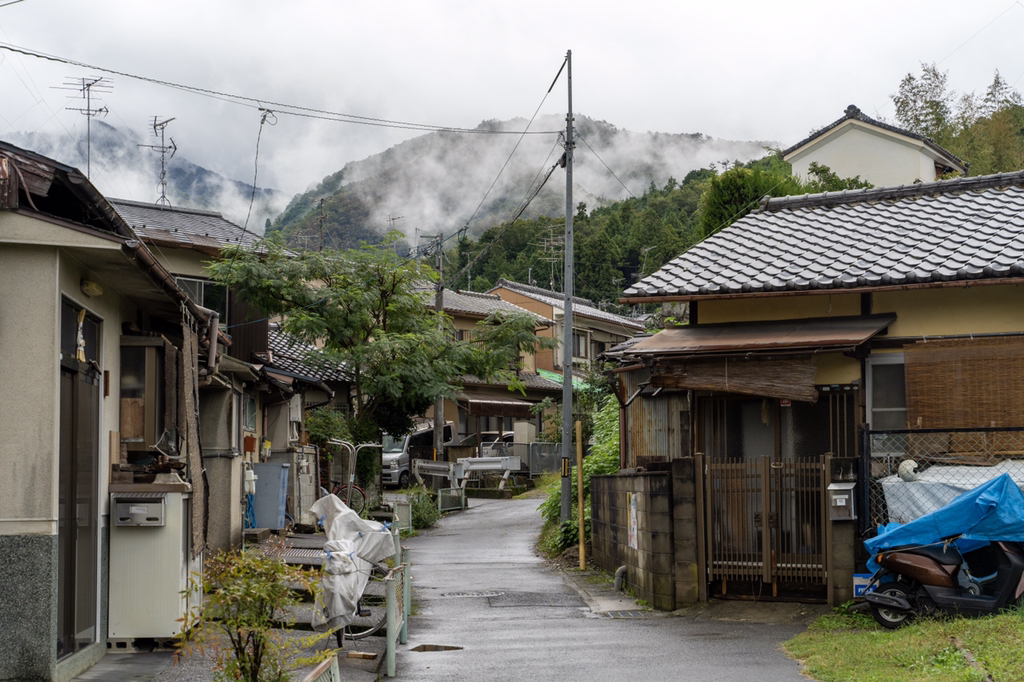 2018년 찍었던 사진 중 맘에 드는 것들 | 인스티즈