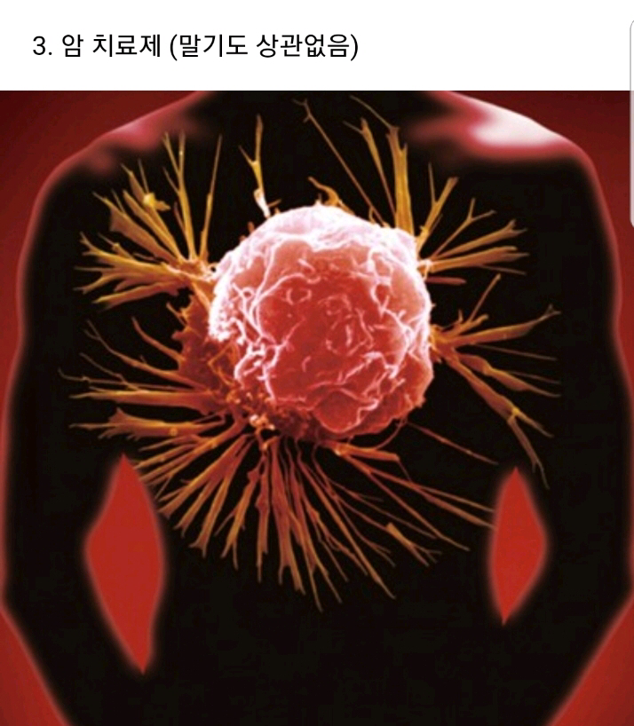 당신이 약을 개발한다면??.jpg | 인스티즈