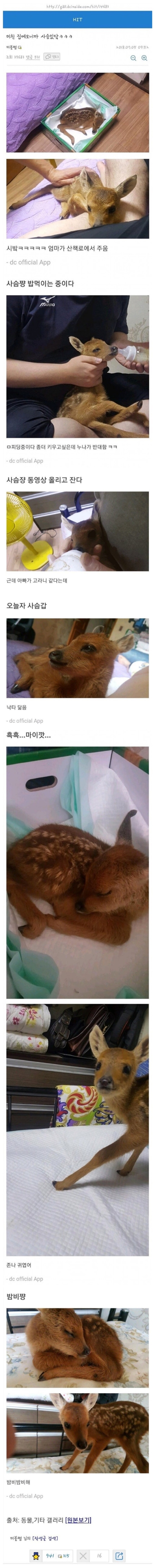 냥줍이 아닌 사줍 | 인스티즈