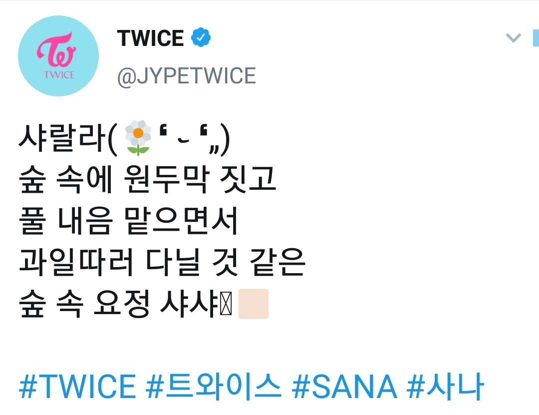 트와이스 공트 사나 - 숲 속에 원두막 짓고 풀 내음 맡으면서 과일따러 다닐 것 같은 숲 속 요정 샤샤 | 인스티즈