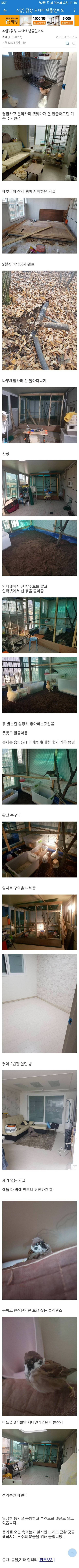 집에 닭장 만든 사람.jpg | 인스티즈