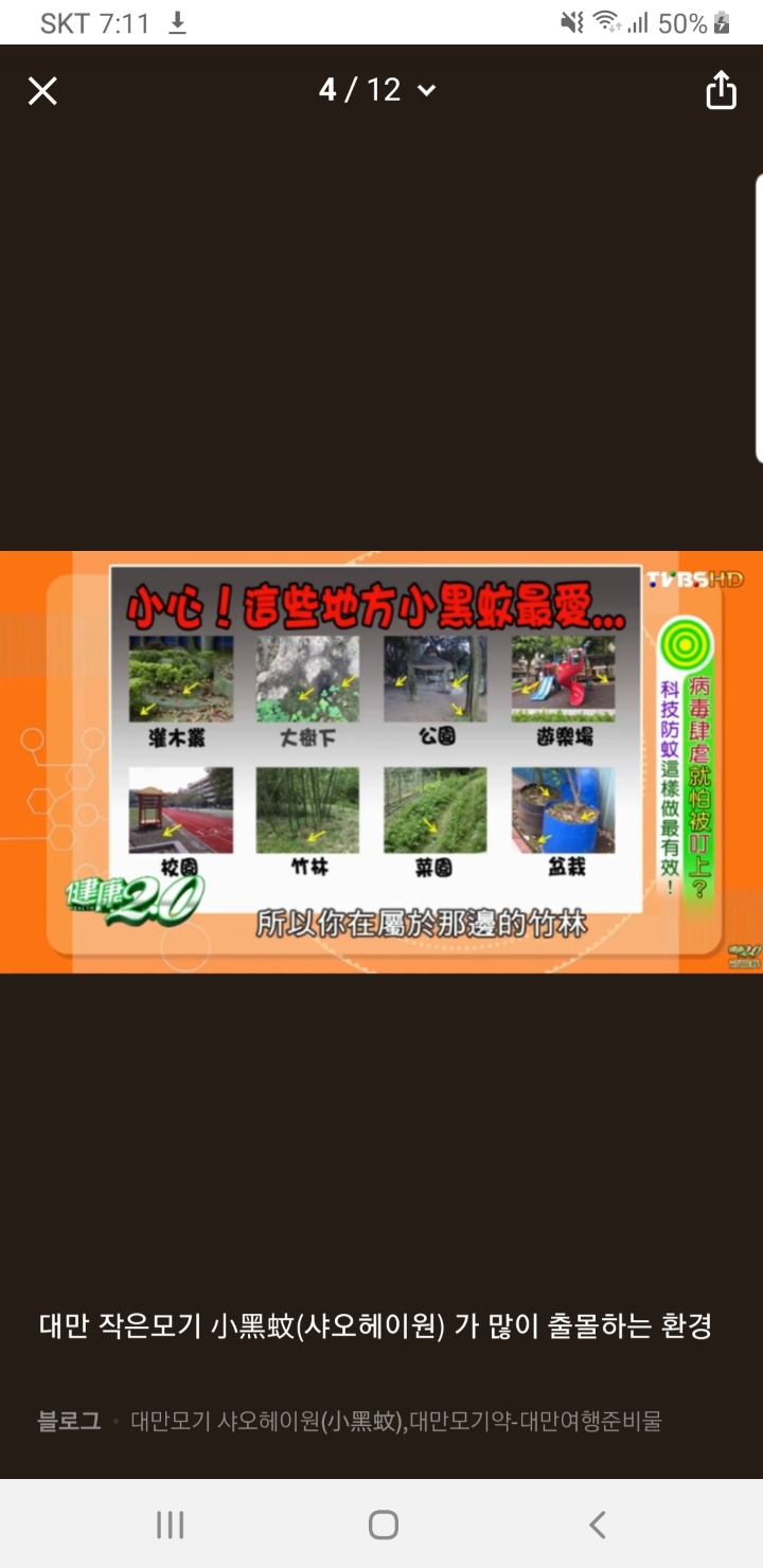 대만 여행에서 주의해야할 대만모기 샌드플라이(샤오헤이원) | 인스티즈