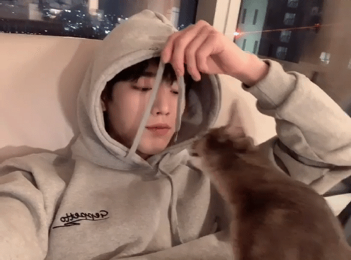 집에서 크리스마스 보내는 서강준.gif | 인스티즈