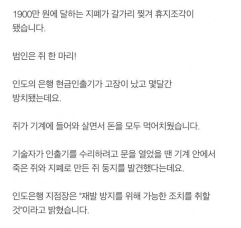 1,900만원 먹튀한 쥐.jpg | 인스티즈